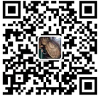 微信二维码 微信二维码